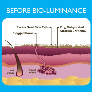 BIO-luminance | Biodermis